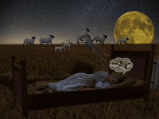 Debunked Counting Sheep Induces Sleep featured image