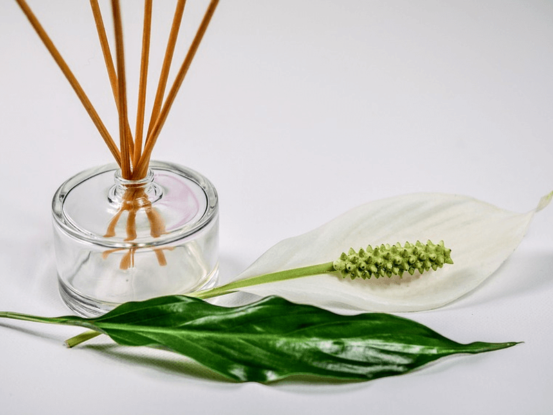 A reed diffuser next to leaves