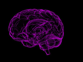 brain and sleep featured image